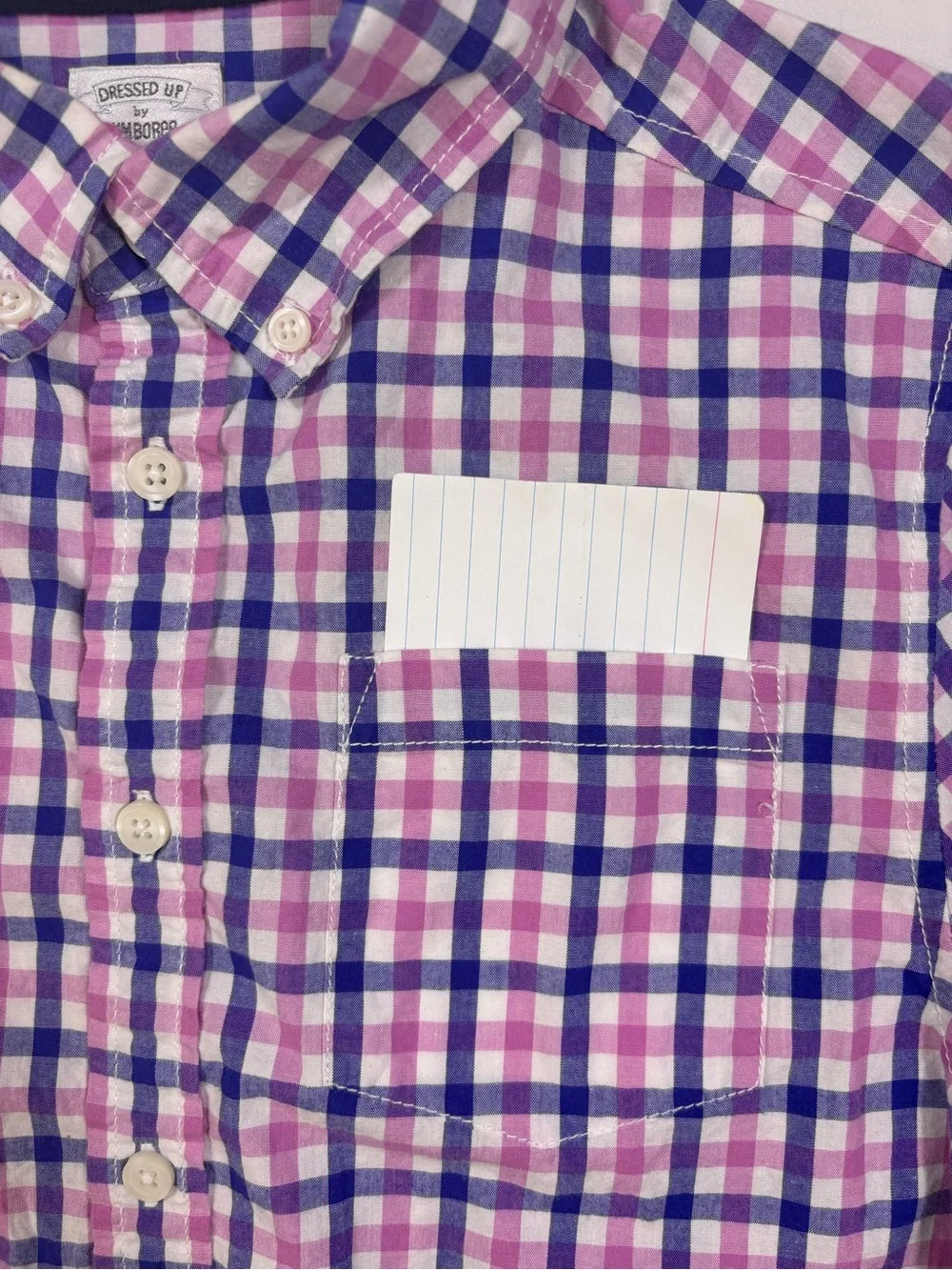 Dressed Up By Gymboree Pink & Blue Check Button-Down Shirt